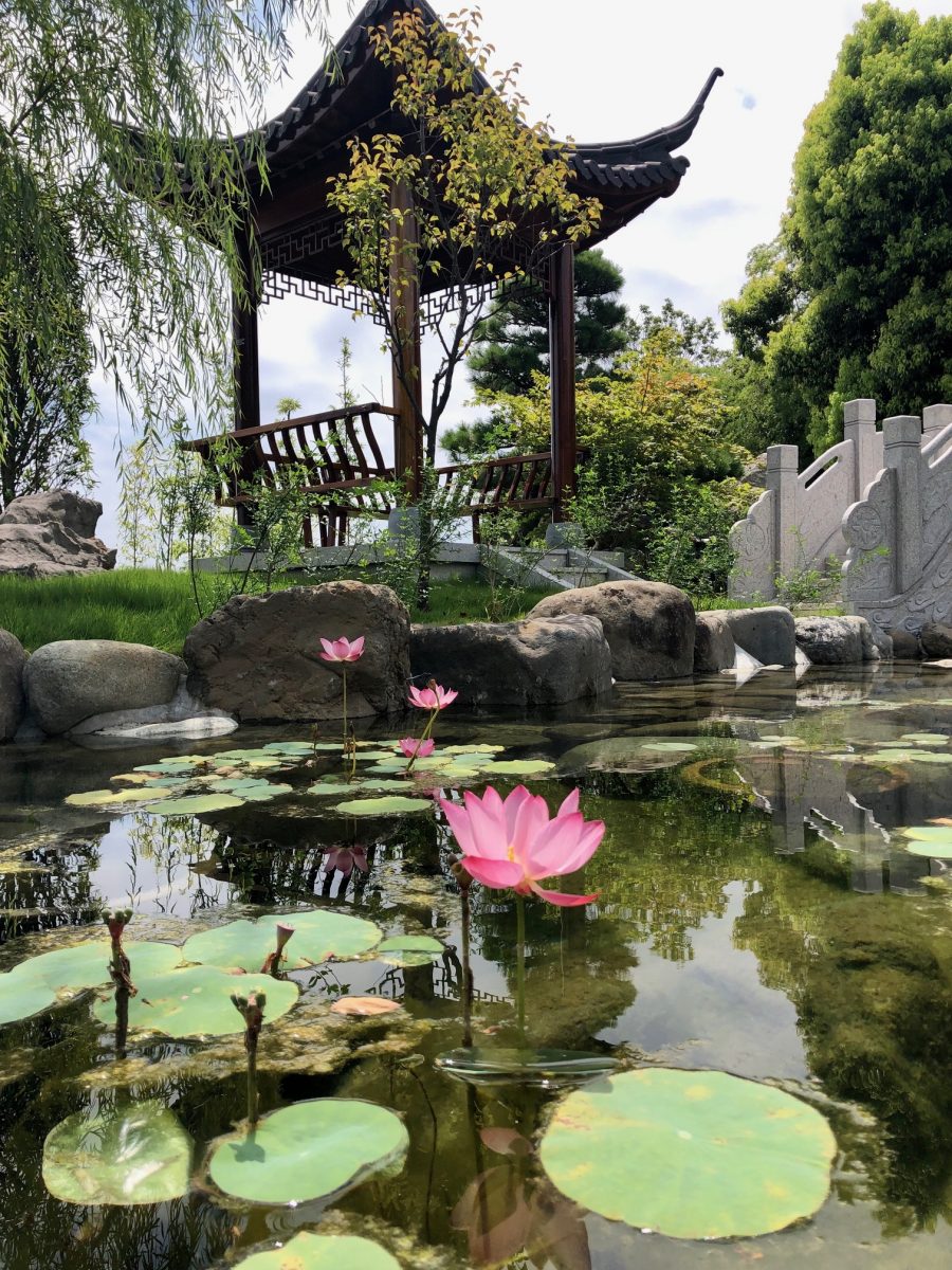 メニュー刷新の為、伊豆高原一茶一酒は9月1日までお休みです